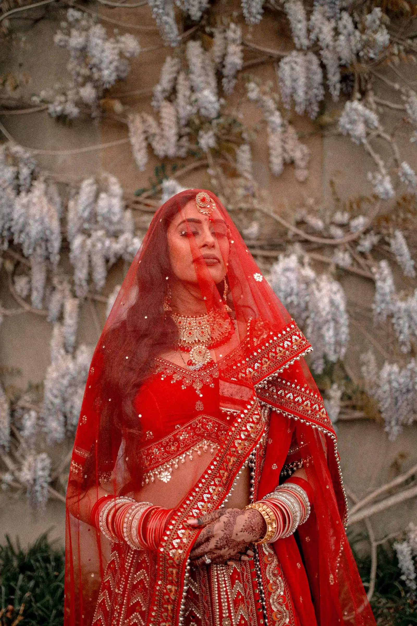 Bride in a red lehenga and veil beneath a wall of hanging wisteria