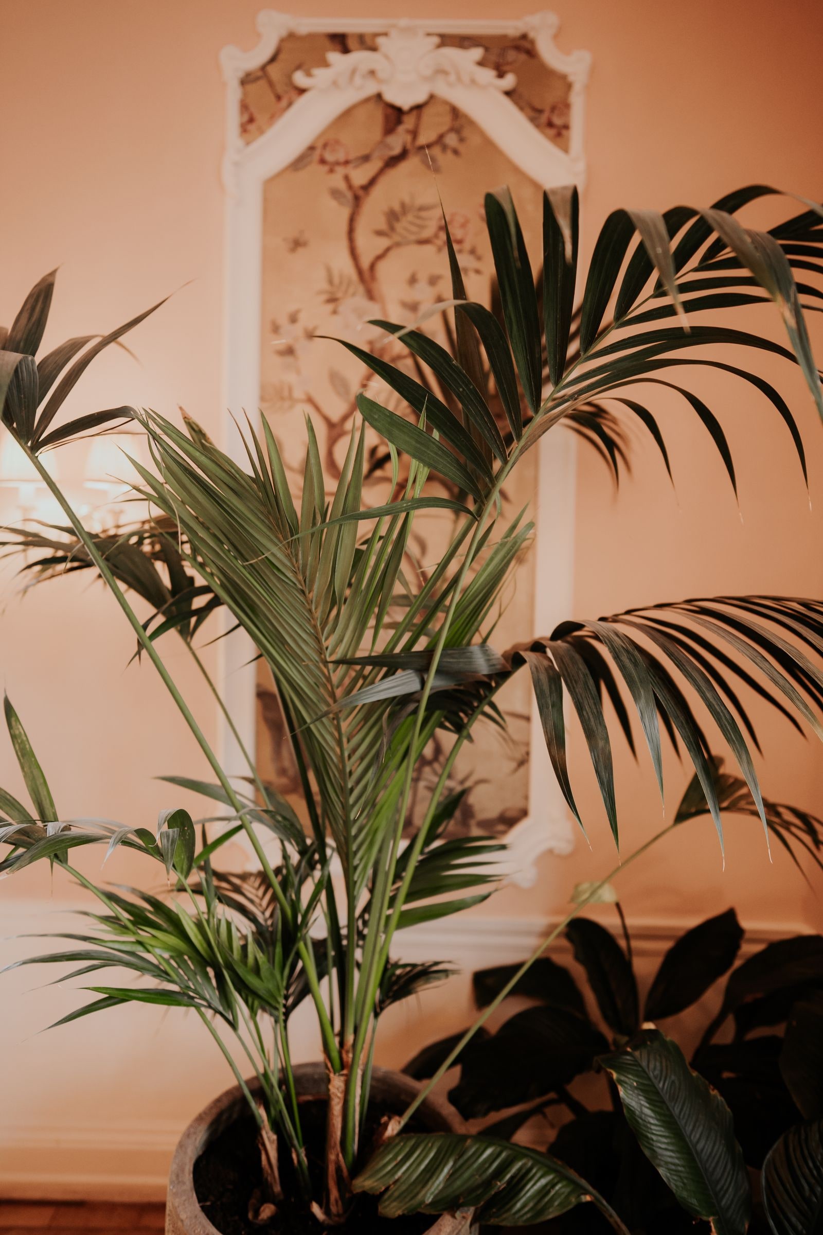 Palms and a painted panel in a peach-coloured drawing room