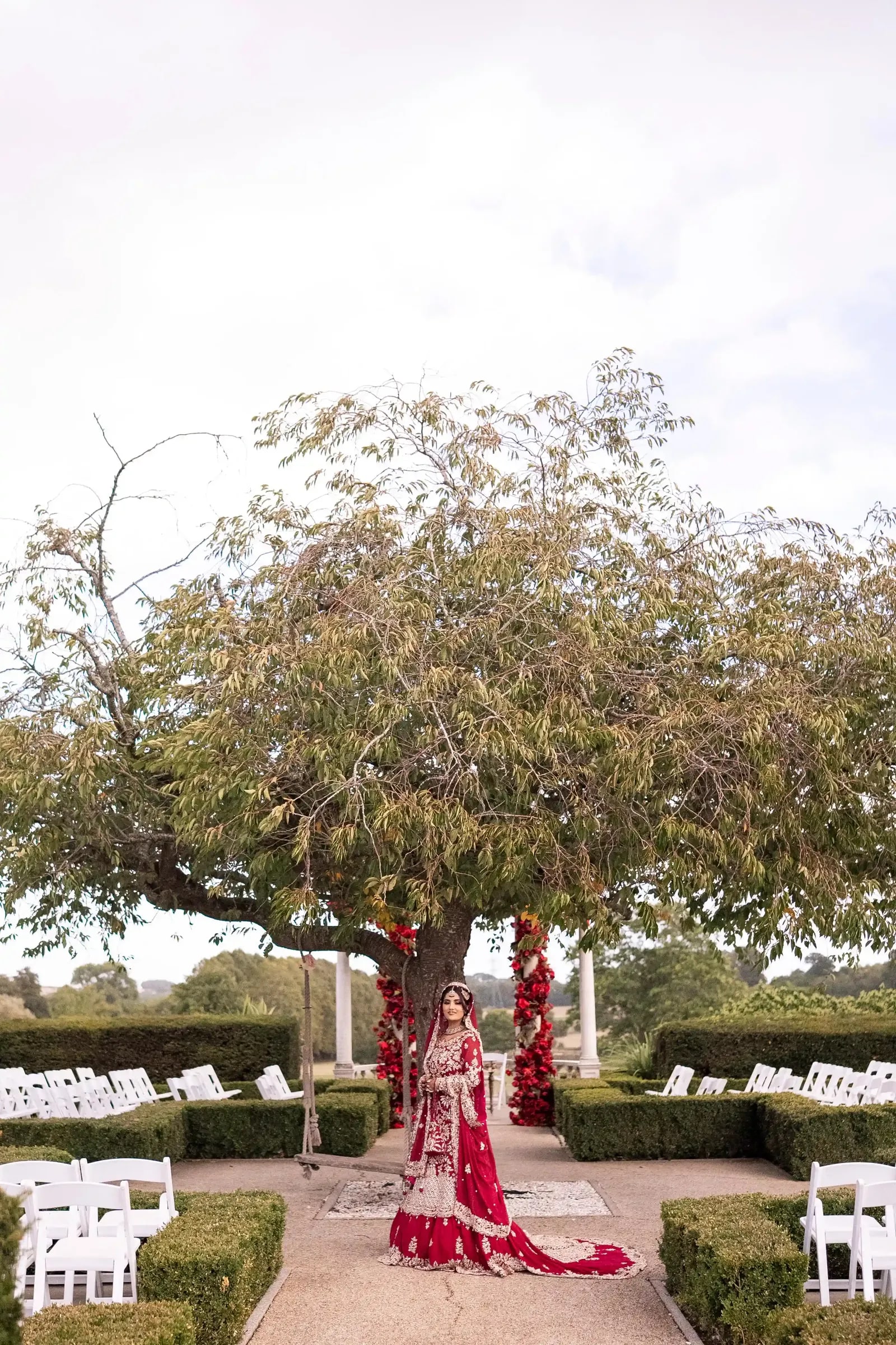 Bride small in the garden under a wide tree, rows of white chairs either side