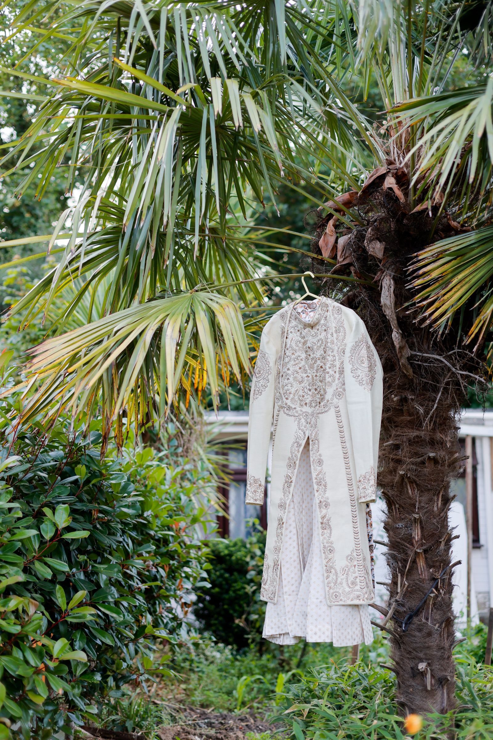 The groom's ivory sherwani hanging from a palm in the back garden