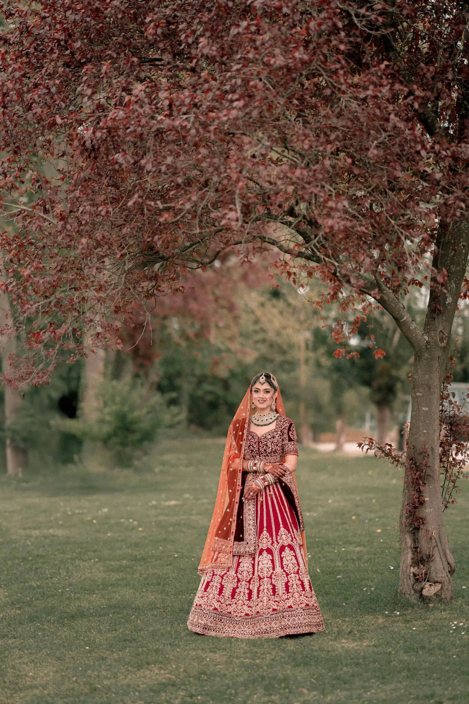 Bride standing alone beneath a copper beech in her red lehenga